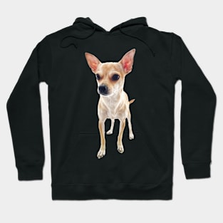 Cute Chihuahua Doggo Hoodie